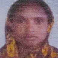 hazera